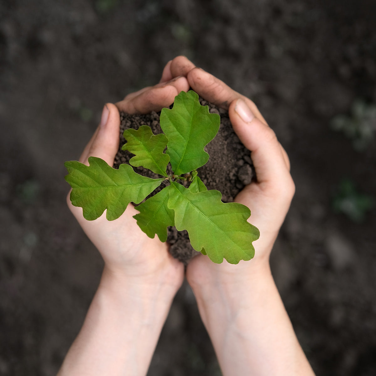 fabrication respectueuses de l'environnement